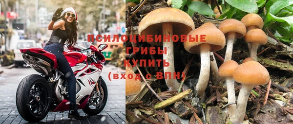 спиды Магадан
