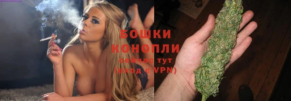 дмт Кострома