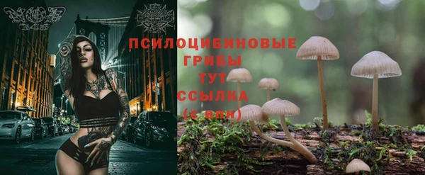 прущая мука Магас