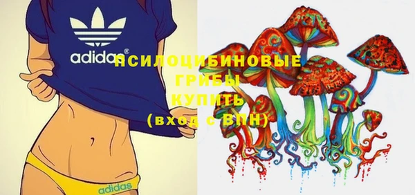 прущая мука Магас